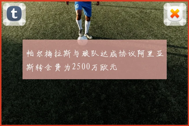帕尔梅拉斯与狼队达成协议阿里亚斯转会费为2500万欧元